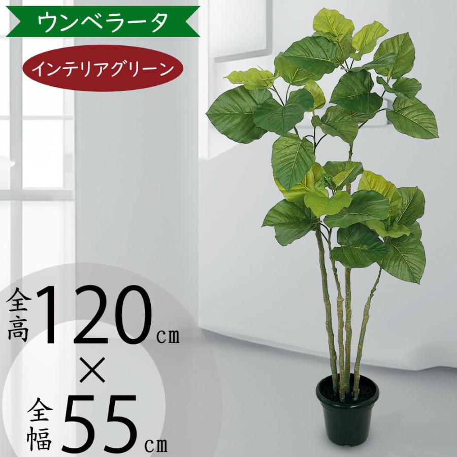 光触媒観葉植物 フレッシュDXスリムウンベラータ1.2 フェイク 光触媒観葉植物 フレッシュDXスリムウンベラータ1.2 フェイク