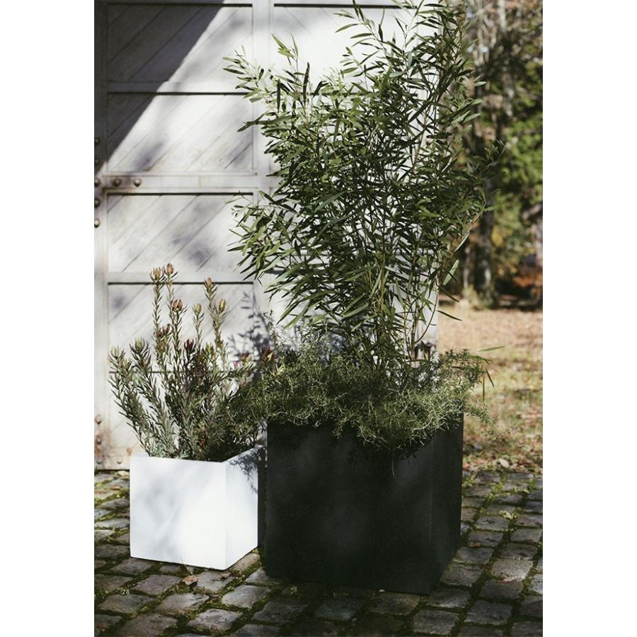 好評 植木鉢 ファイバークレイ ベータ キューブ プランター 12号 全高36cm×口36cm 底穴あり セメント ガラス繊維 おしゃれ 軽量プランター 鉢 :fm-002-36e:人工観葉植物と造花の通販ケイシン - 通販 - Yahoo!ショッピング 好評 植木鉢 ファイバークレイ ベータ キューブ プランター 12号 全高36cm×口36cm 底穴あり セメント ガラス繊維 おしゃれ 軽量プランター 鉢 :fm-002-36e:人工観葉植物と造花の通販ケイシン - 通販 - Yahoo!ショッピング