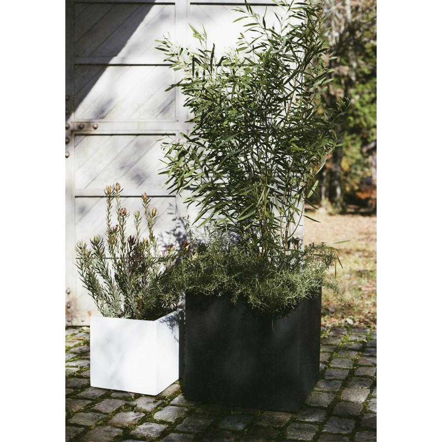 植木鉢 おしゃれ プランター 大型 大きい 大きめ 特大 観葉植物 園芸