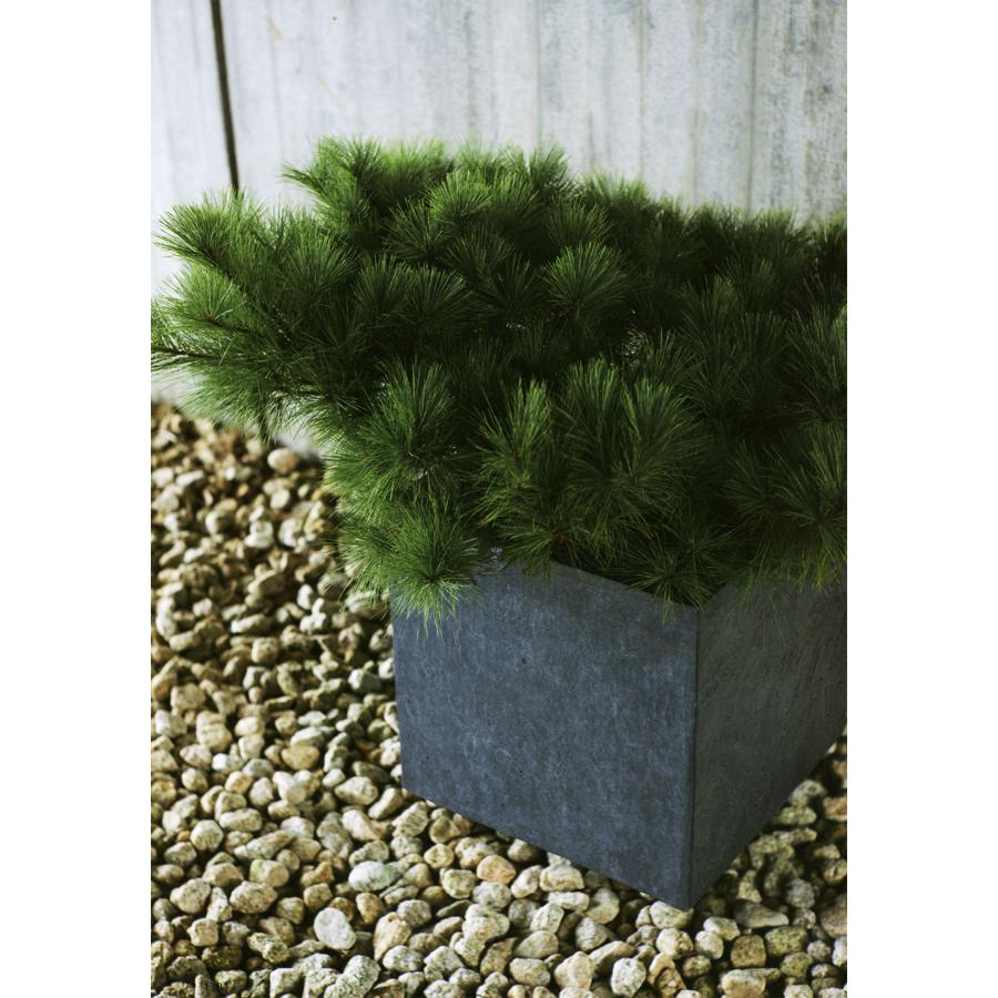 植木鉢 おしゃれ 大型 プランター ファイバークレイ 人気