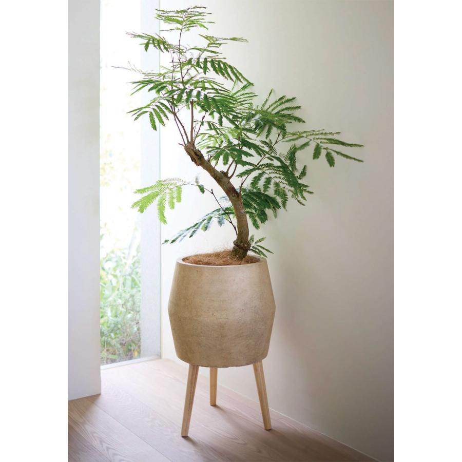 植木鉢 おしゃれ プランター 観葉植物 人気 おすすめ 園芸鉢 ポット 鉢
