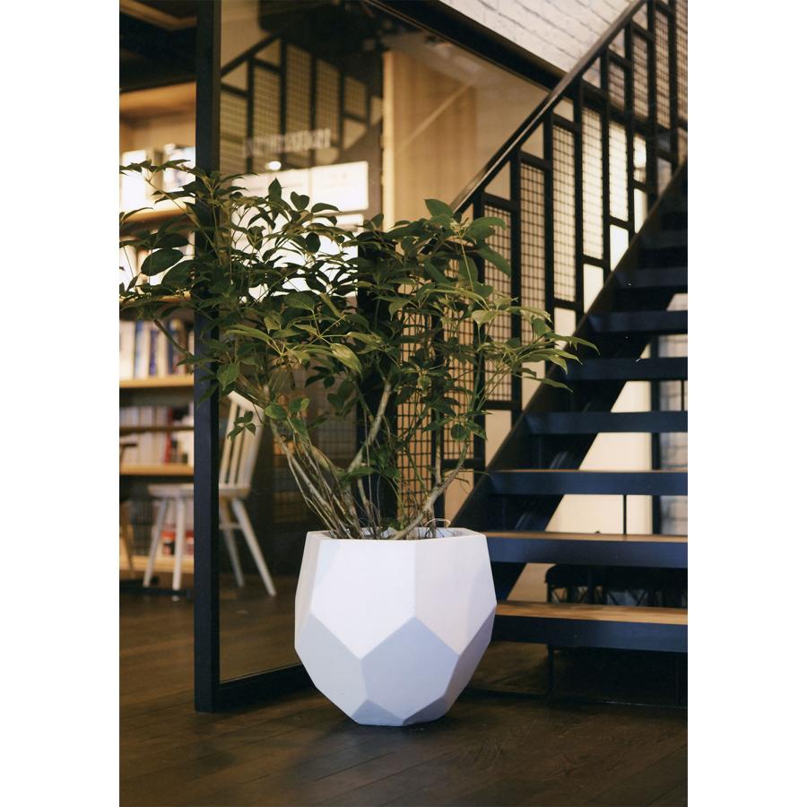 植木鉢大型プランター 大型プランター」の人気商品一覧 | 安い商品を通販サイトから