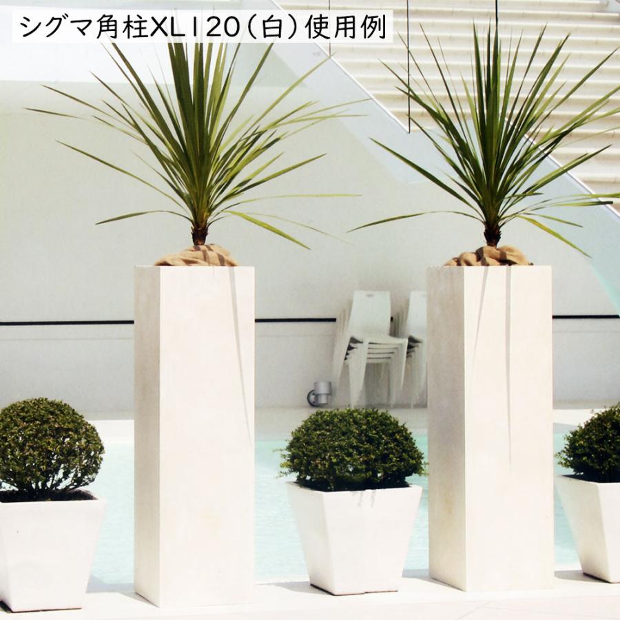 植木鉢 人気 おしゃれ 大型 プランター 観葉植物 ファイバー 植木鉢 人気 おしゃれ 大型 プランター 観葉植物 ファイバー