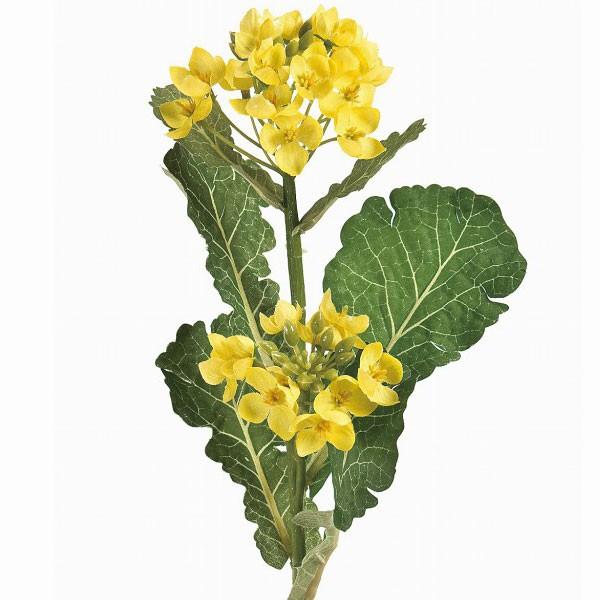 菜の花 造花 全長48cm 3本セット なのはな アーティフィシャルフラワー 人工観葉植物 Fm3185 人工観葉植物と造花の通販ケイシン 通販 Yahoo ショッピング