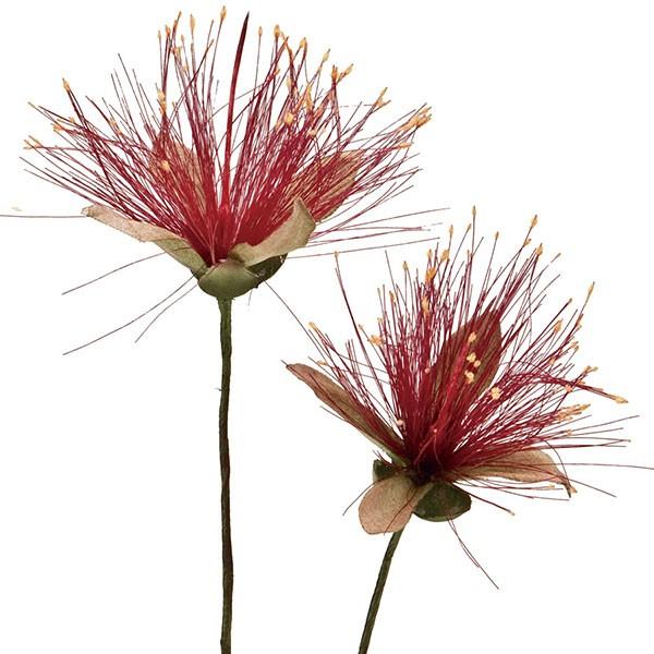 造花 ハワイの花 レフア 全長15cm 9本セット 1束3本 3束 人工観葉植物 花材 アレンジ K 3936 Fm3934 人工観葉植物と造花の通販ケイシン 通販 Yahoo ショッピング