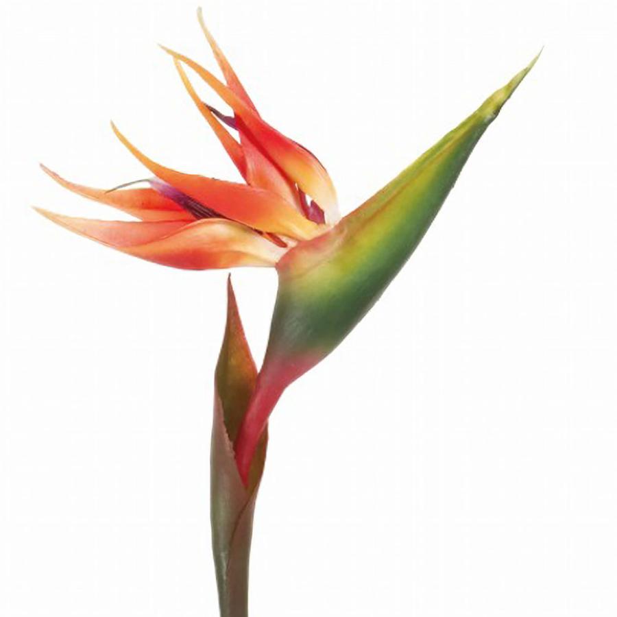 【セット販売】木製ベースとリアルな造花アレンジメント（ストレリチア等） セット販売】木製ベースとリアルな造花アレンジメント