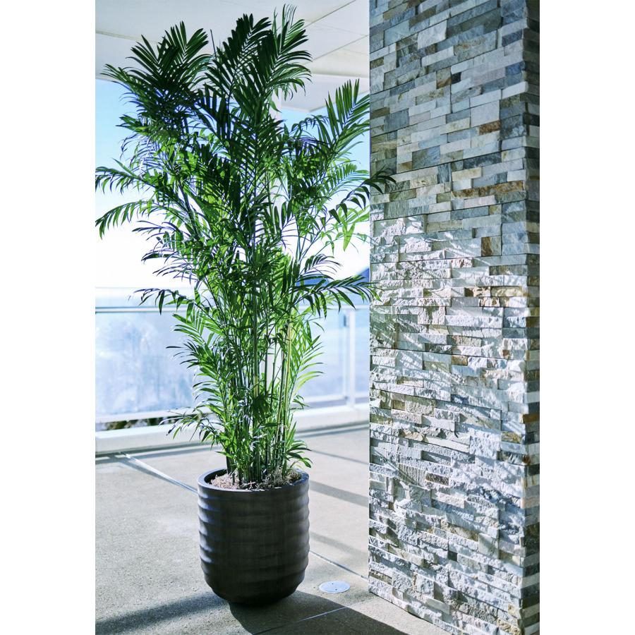 鉢カバー おしゃれ 大型 プランター 観葉植物 人気 おすすめ
