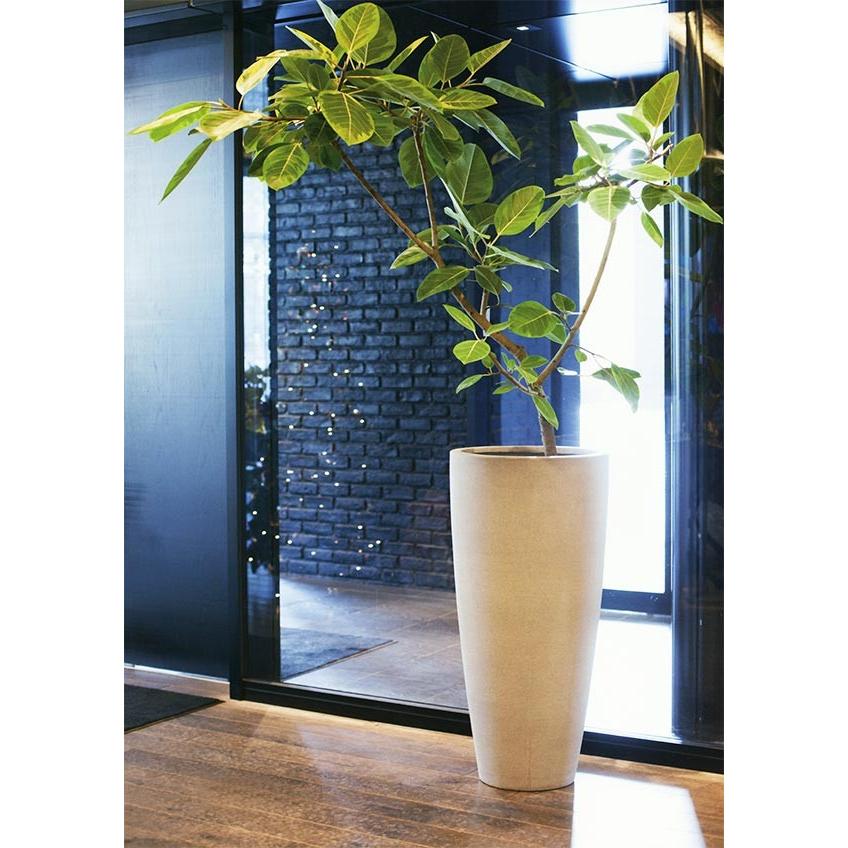 鉢カバー おしゃれ 大型 プランター 観葉植物 人気 おすすめ