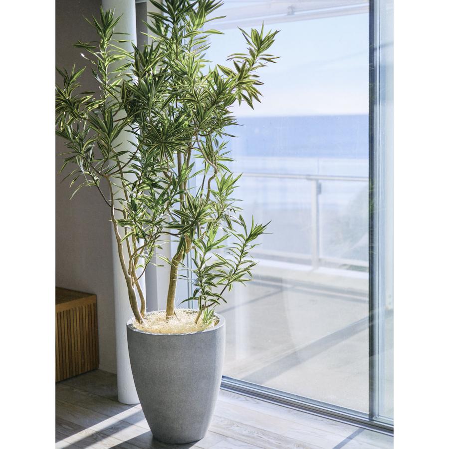 植木鉢　陶器　大型　特大　 鉢カバー Amazon.co.jp: ウッドギャラリー樹 寿 中 水鉢 大型 特大 10号