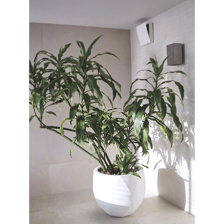 鉢カバー おしゃれ 大型 プランター 観葉植物 人気 おすすめ