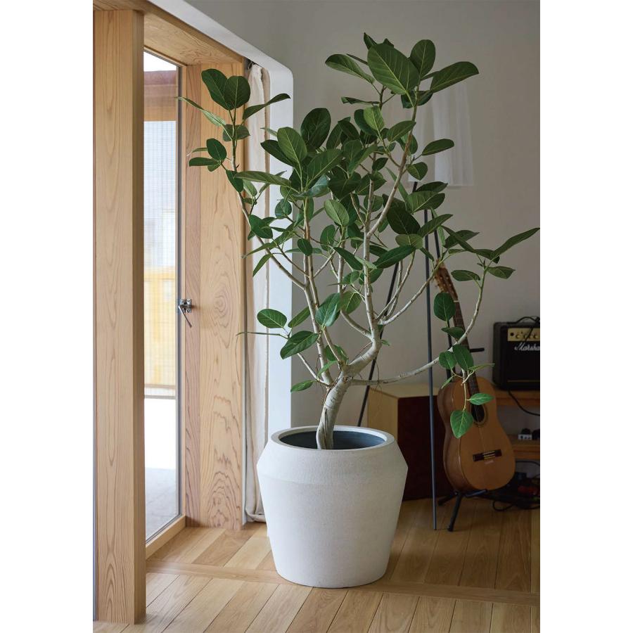 鉢カバー おしゃれ 大型 プランター 観葉植物 人気 インテリアグリーン