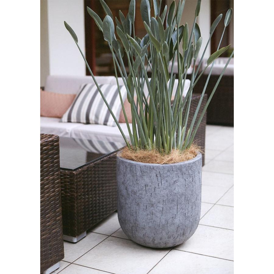 砲兵 ミトン カバー セメント 植木鉢 Sustainableseeds Org