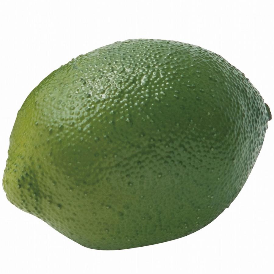 食品サンプル ライム リアル フェイクフード 野菜 果物 造花 人気