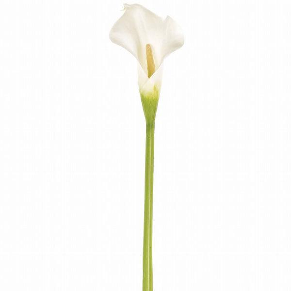 造花 カラー M 全長76cm カラーリリー 人工観葉植物 花材 フラワーアレンジメント K 99052 Fw97037 人工観葉植物と造花の通販ケイシン 通販 Yahoo ショッピング