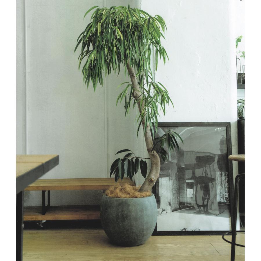 植木鉢 おしゃれ FRP 大型 プランター 観葉植物 園芸 ガーデニング