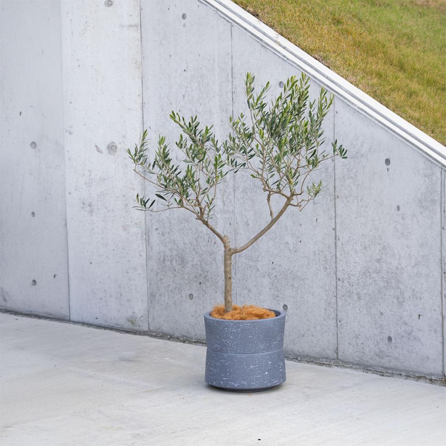 植木鉢 大型 14号 おしゃれ 人気 プランター ポット 鉢カバー 器