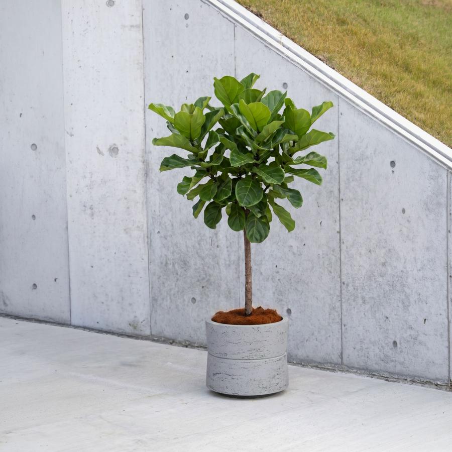 植木鉢 大型 14号 おしゃれ 人気 プランター ポット 鉢カバー 器