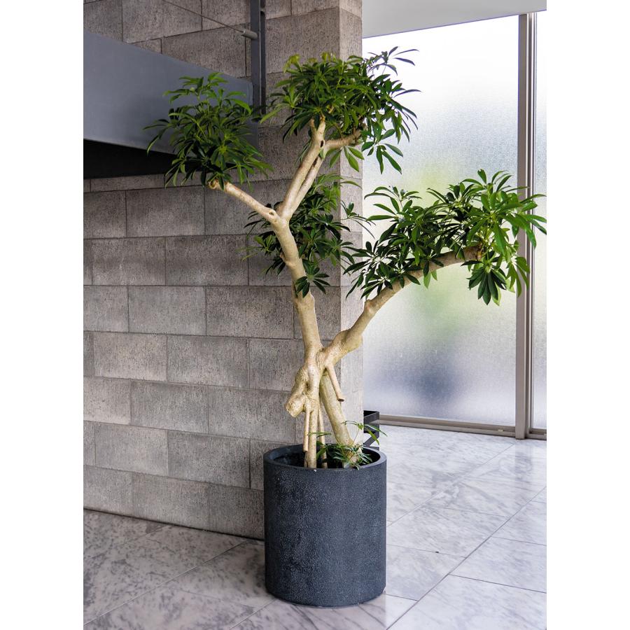 【未使用品】2023SS ネイバーフッド プランポット 植木鉢 グレー Yahoo!オークション -「plant」(ネイバーフッド) (な～の)の落札