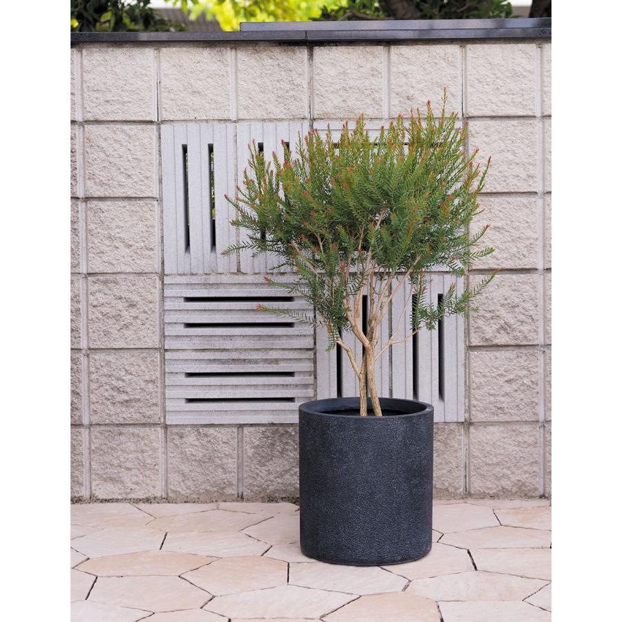 植木鉢 おしゃれ 大型 人気 プランター ポット 観葉植物 鉢カバー