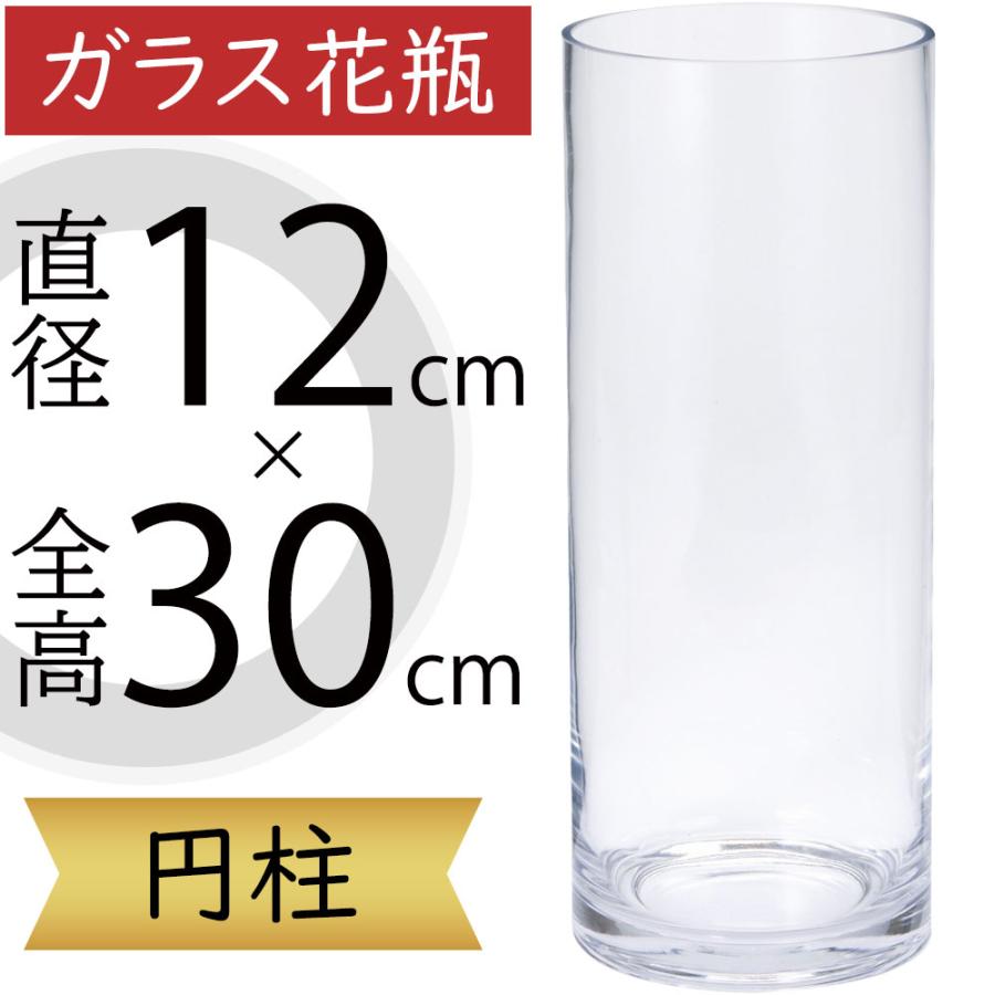 大きい花瓶　筒形　円形ガラス　120センチ 61UIOkQxhwL._AC_UL210_SR210,