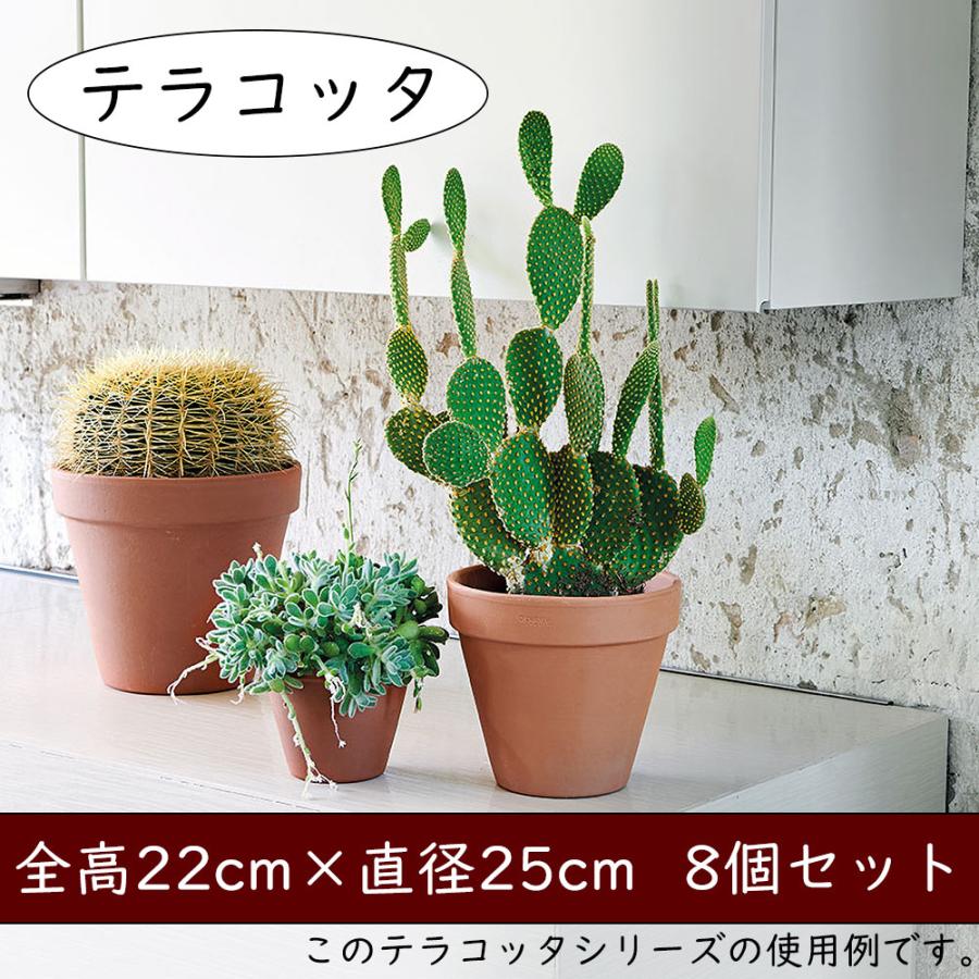 植木鉢 テラコッタ おしゃれ プランター 観葉植物 人気 おすすめ 