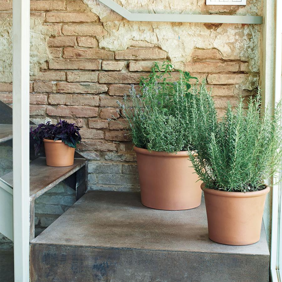 植木鉢 テラコッタ おしゃれ プランター 観葉植物 人気 おすすめ