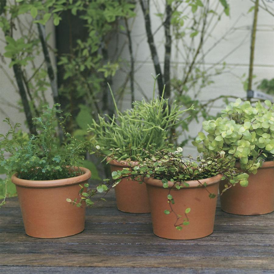 植木鉢 テラコッタ おしゃれ プランター 観葉植物 人気 おすすめ