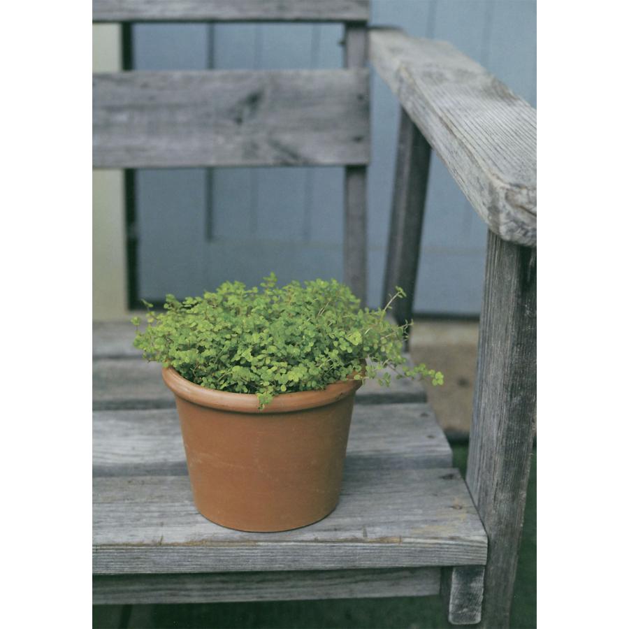 植木鉢 テラコッタ おしゃれ プランター 観葉植物 人気 おすすめ