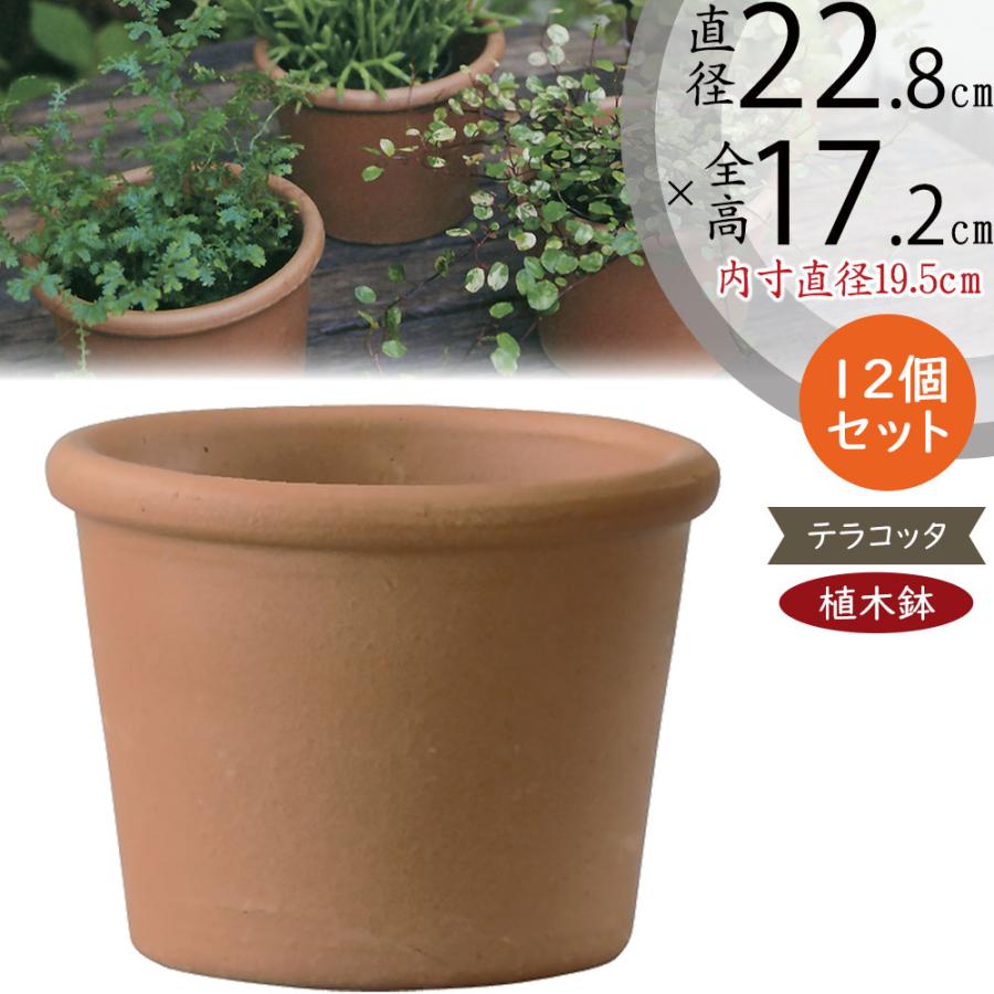 植木鉢 テラコッタ おしゃれ プランター 観葉植物 人気 おすすめ