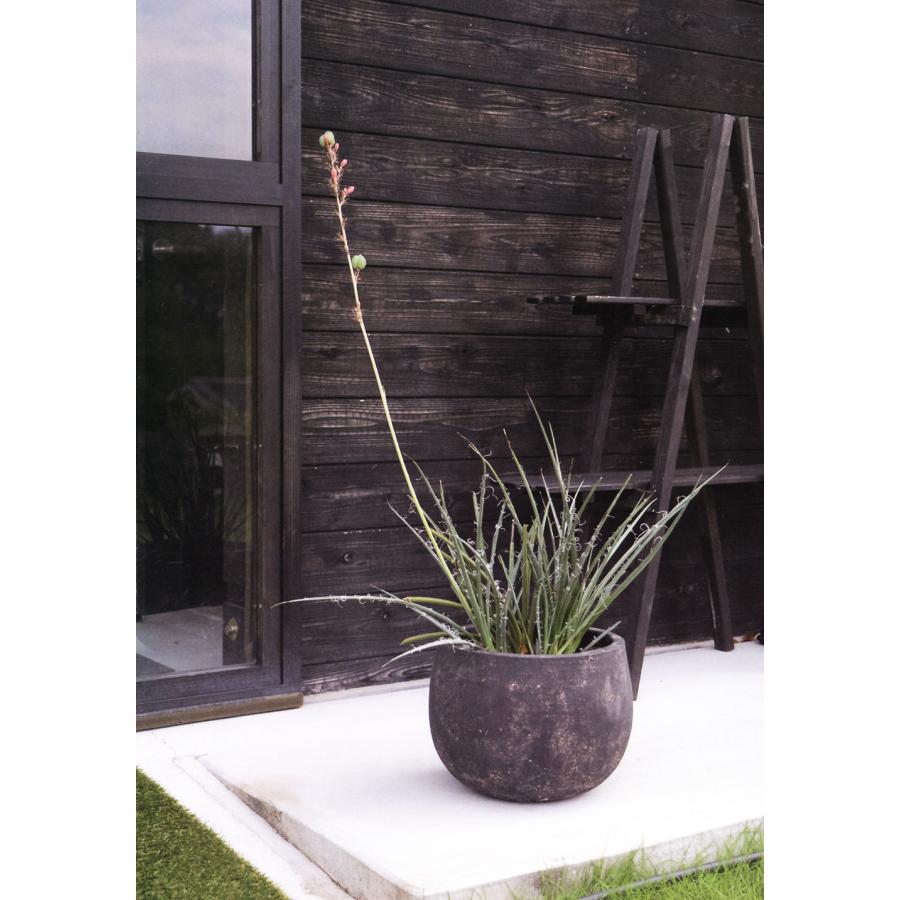 植木鉢 テラコッタ おしゃれ 大型 プランター 人気 おすすめ 観葉植物