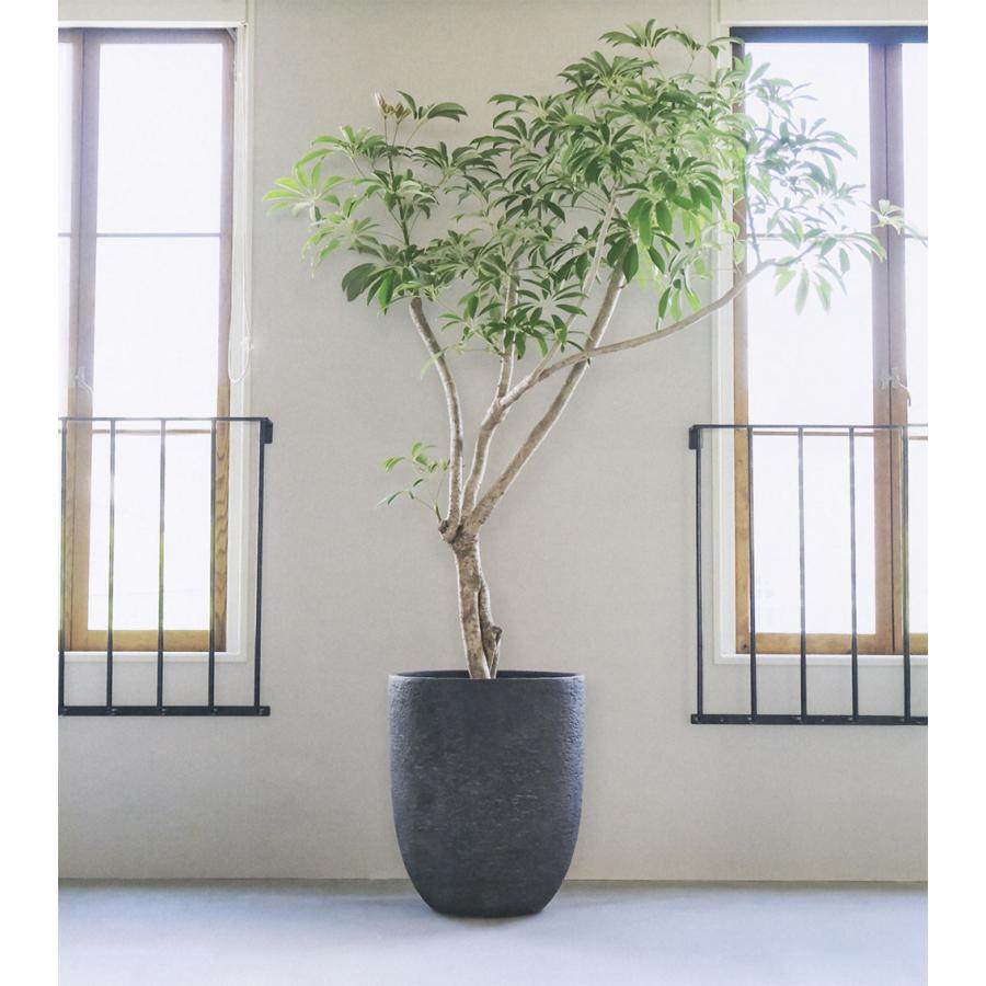 植木鉢 おしゃれ 大型 人気 おすすめ プランター 園芸 観葉鉢 器