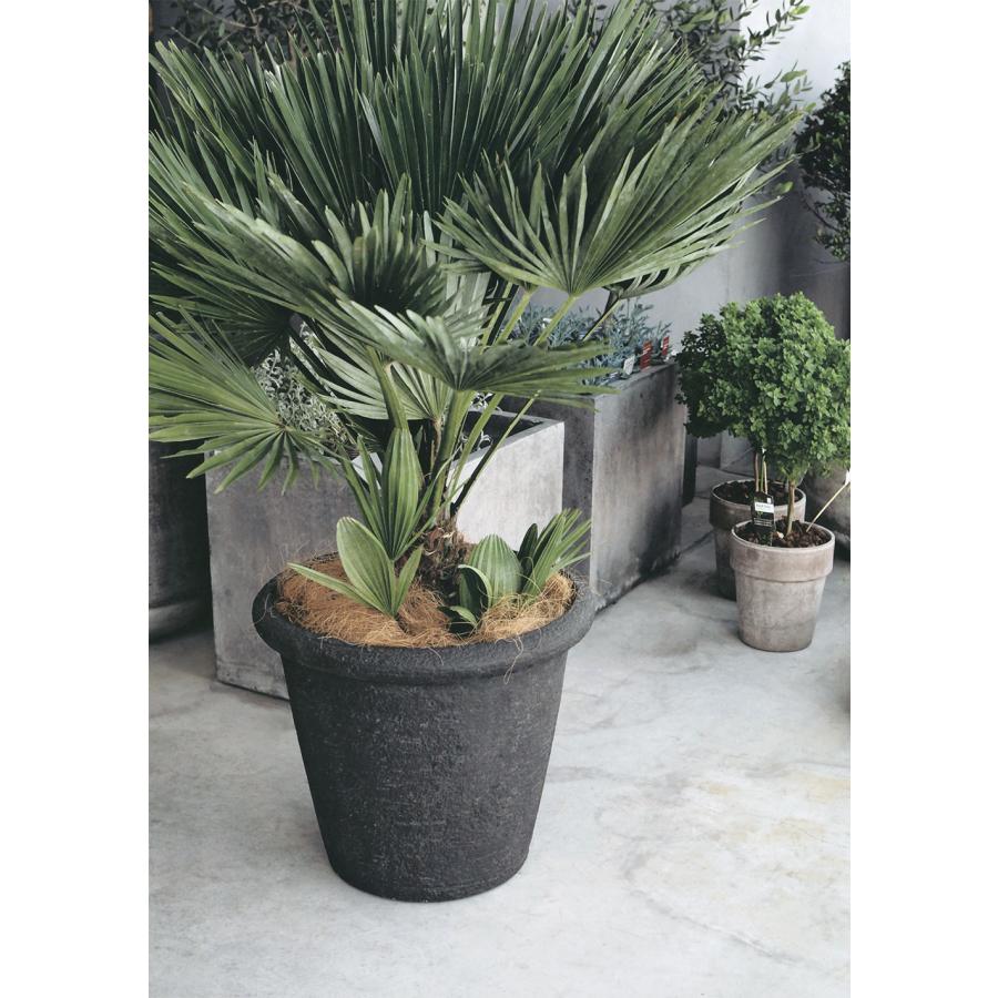 植木鉢 おしゃれ 大型 人気 おすすめ 特大 プランター 園芸鉢 観葉鉢