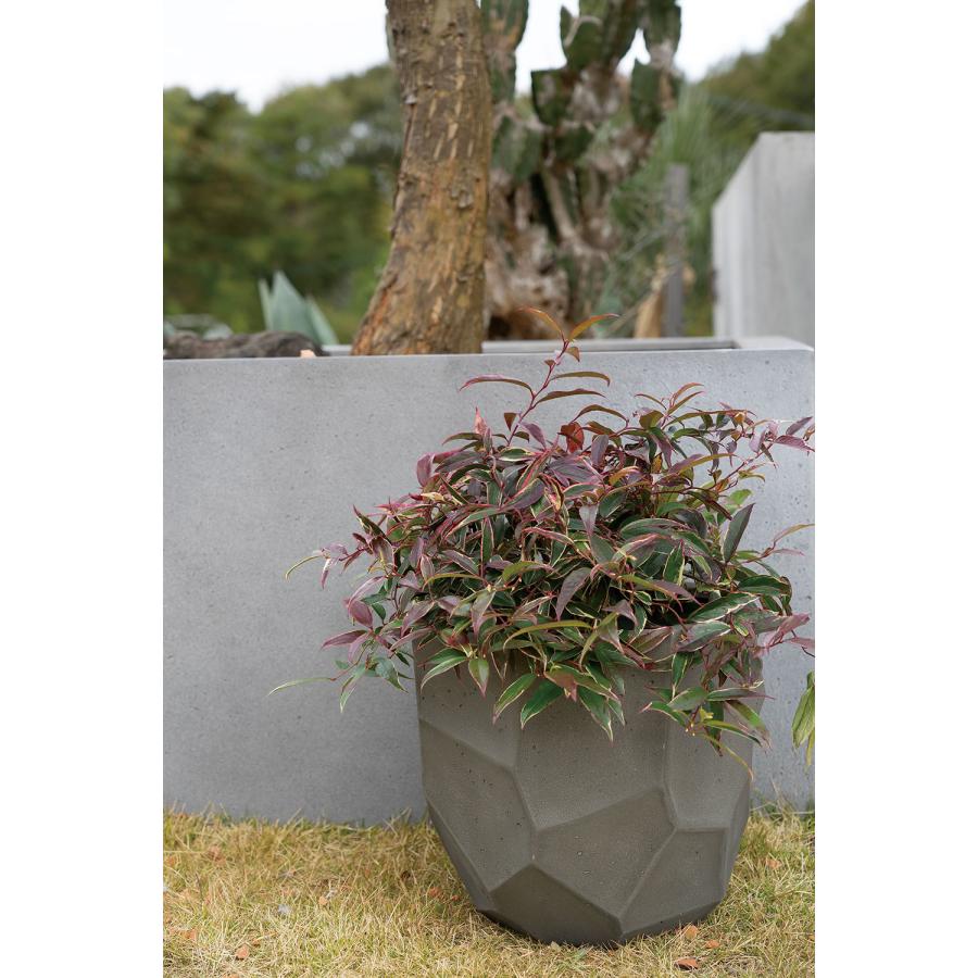 植木鉢 おしゃれ FRP 大型 プランターカバー 観葉植物 園芸用品