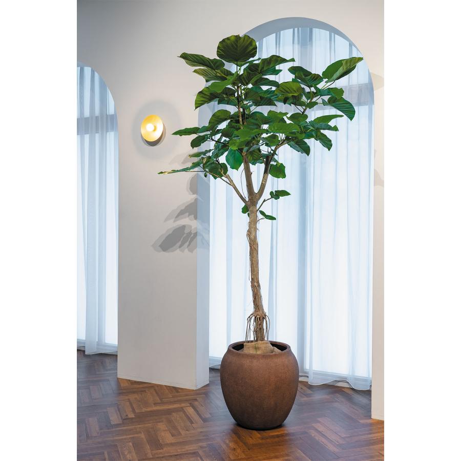 カタチ製作所　植木鉢　大鉢　新品未使品 9月10日（火）12時からカタチ製作所鉢の抽選販売を@gypsy.plants