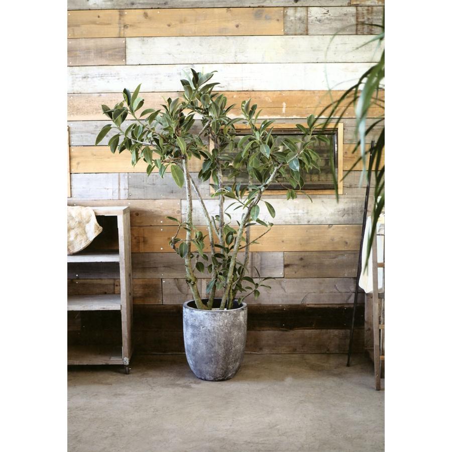 植木鉢 おしゃれ 大型 プランター 観葉植物 人気 おすすめ 園芸