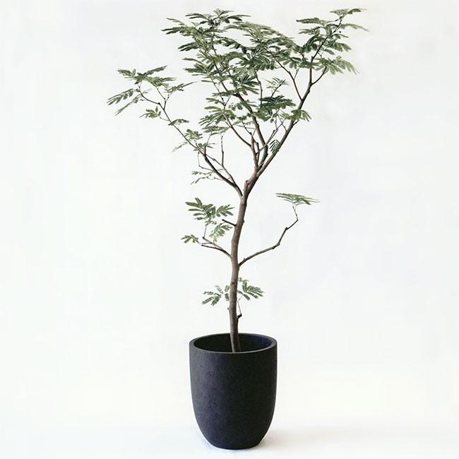 大人気 植木鉢 おしゃれ 大型 プランター 観葉植物 フォリオ アルトエッグ 43型 【I1987115783】(10450円)