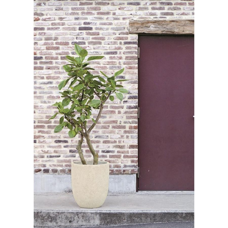 大人気 植木鉢 おしゃれ 大型 プランター 観葉植物 フォリオ アルトエッグ 43型 【I1987115783】(10450円)