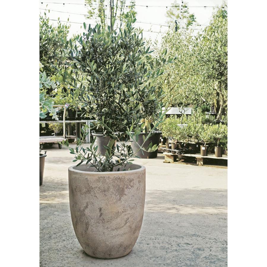 植木鉢 テラコッタ 大型 おしゃれ プランター 人気 おすすめ 素焼き
