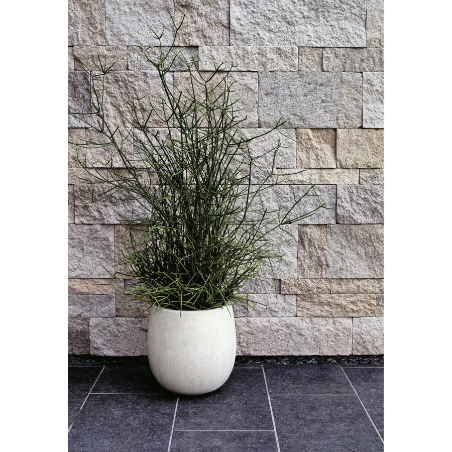 植木鉢 おしゃれ 大型 人気 おすすめ プランター ポット 観葉植物 FRP