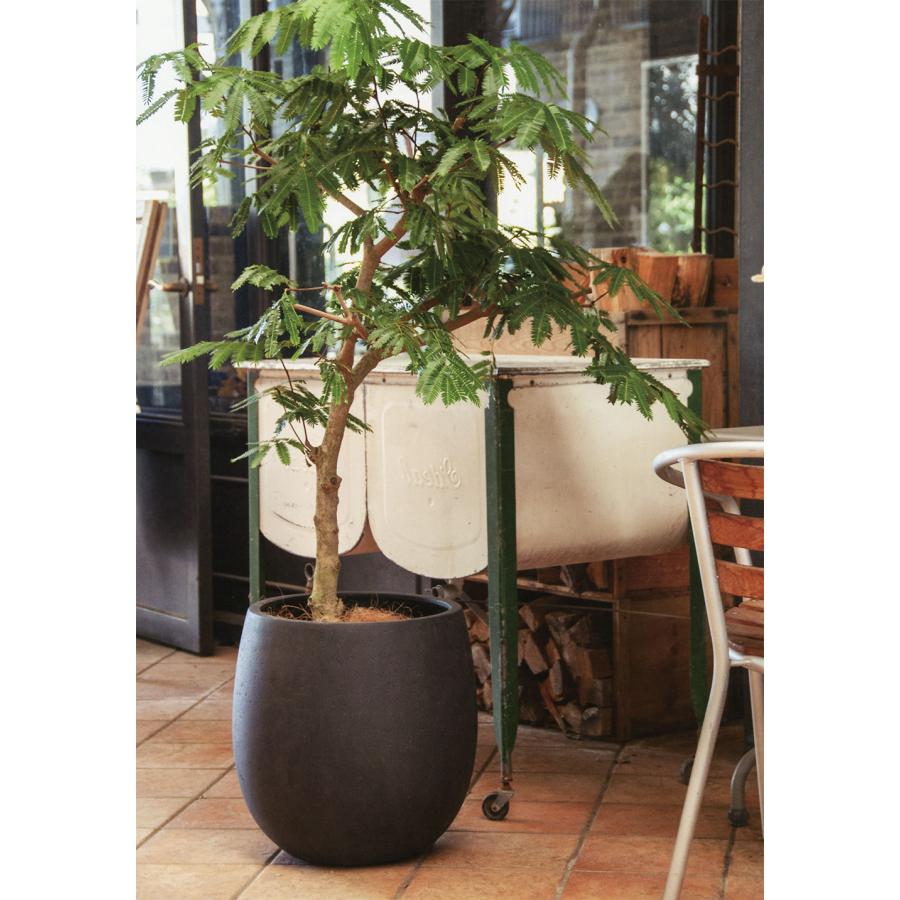 植木鉢 おしゃれ 大型 人気 おすすめ プランター ポット 観葉植物 FRP