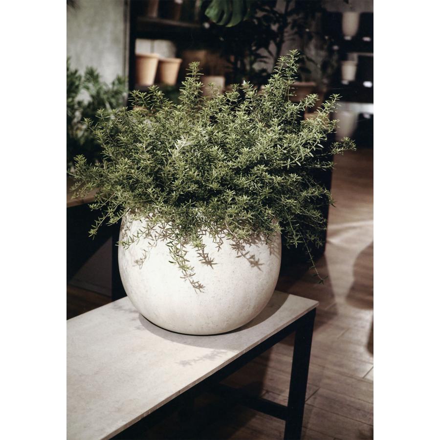 植木鉢 おしゃれ 大型 人気 おすすめ プランター ポット 観葉植物 FRP