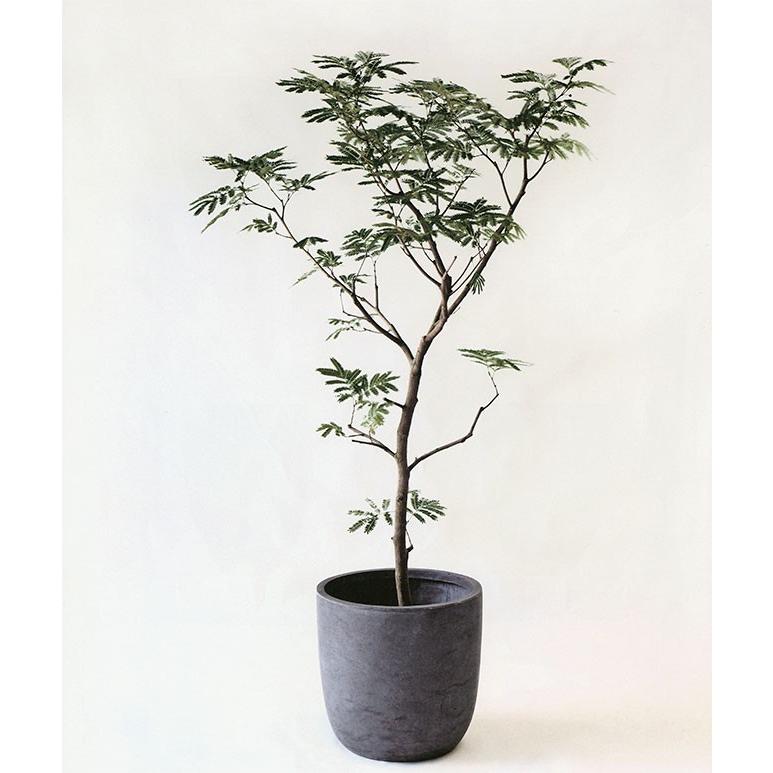 植木鉢 おしゃれ 大型 人気 おすすめ プランター ポット 観葉植物 園芸