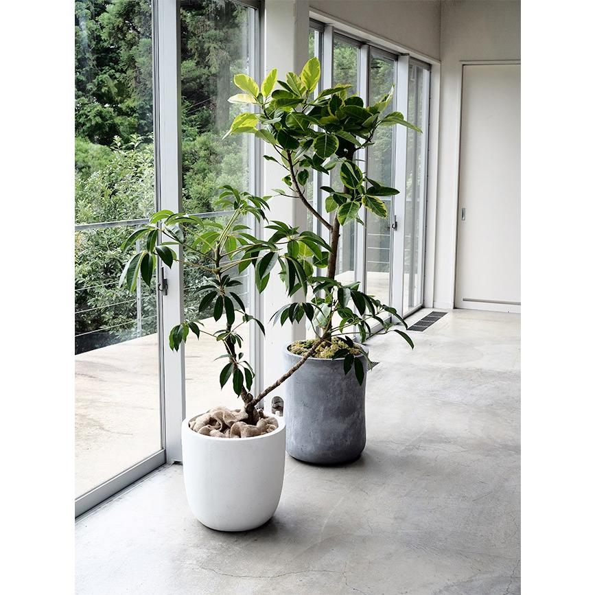 植木鉢 バスク ミドル37 全高46cm 直径37cm ファイバークレイ ガラス繊維 樹脂 セメント 底穴あり プランター ポット 観葉植物 観葉鉢 Gp Ga 0537 人工観葉植物と造花の通販ケイシン 通販 Yahoo ショッピング