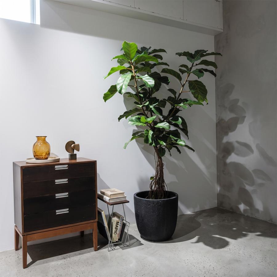 植木鉢 大型 おしゃれ 人気 プランター ガーデニング インテリア