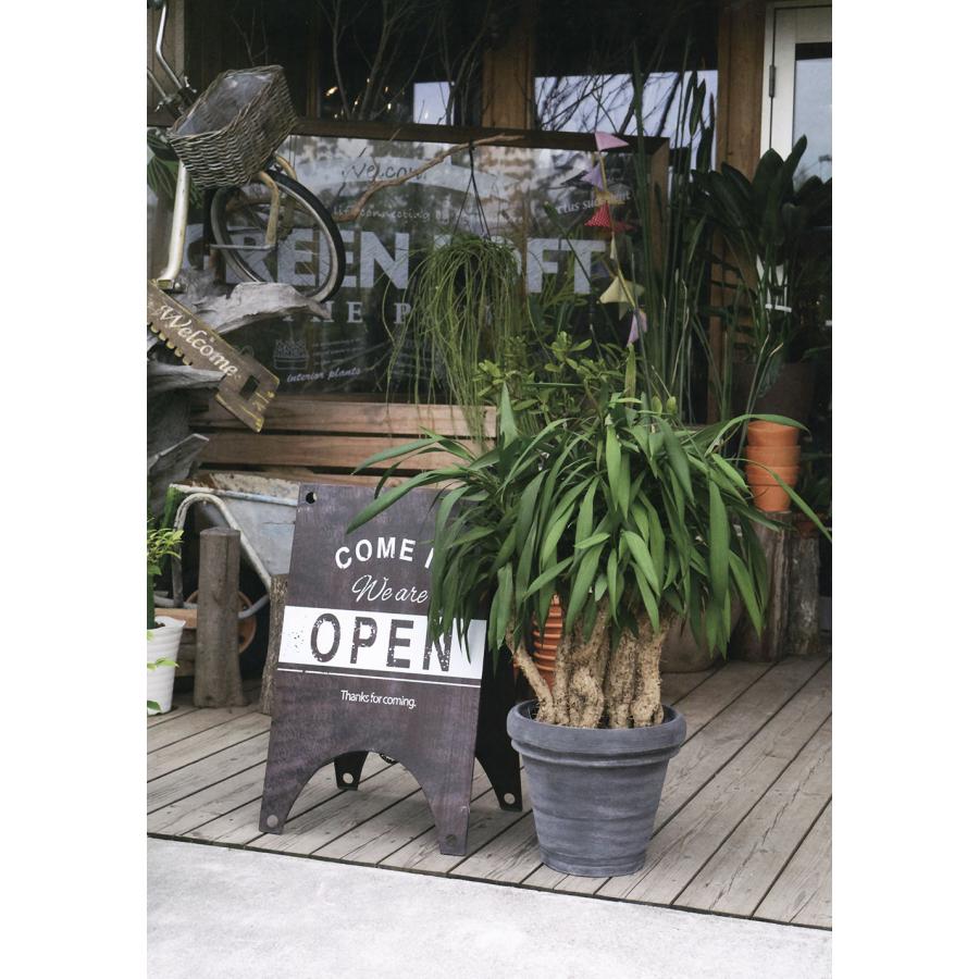 大型　盆栽鉢　植木鉢 紫泥隅切額面長方鉢 | 盆栽、盆栽書籍、盆栽鉢の通販│近代出版