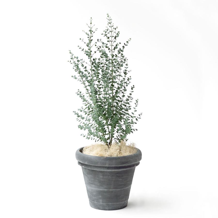 植木鉢 おしゃれ 大型 プランター 観葉植物 特大 園芸鉢 ガーデニング