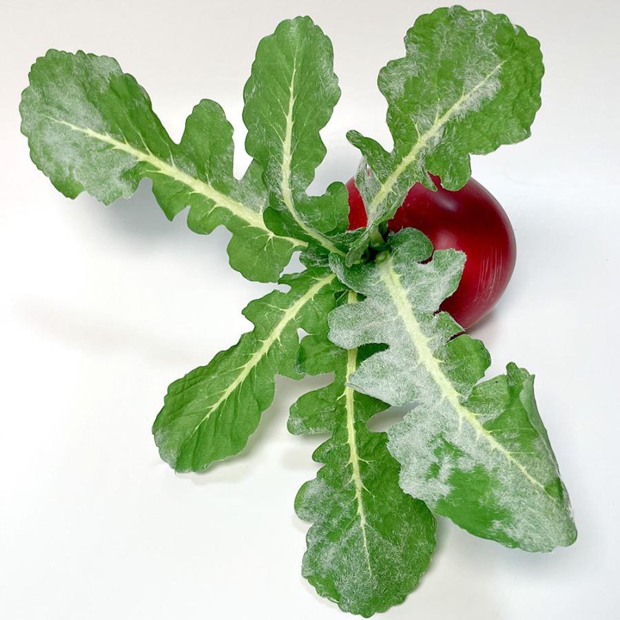 赤かぶ 全長7cm 3個セット フェイクフード 食品サンプル 蕪 赤カブ 野菜 装飾 ディスプレイ オブジェ H21a T0317 人工観葉植物と造花の通販ケイシン 通販 Yahoo ショッピング