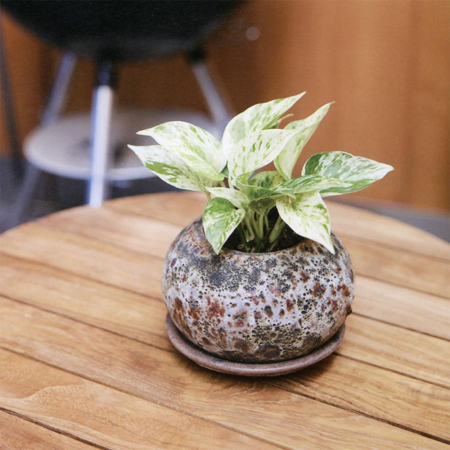植木鉢 おしゃれ プランター 人気 おすすめ 観葉植物 園芸鉢 観葉鉢