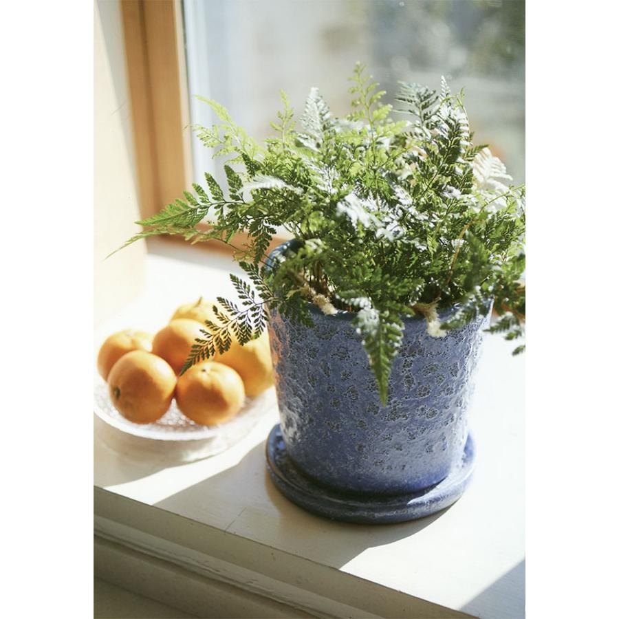 植木鉢 ハレー 受け皿付き 2個セット 6号 全高18cm×直径18cm 底穴あり ムーングレイズ 陶器製 プランター ポット 寄せ植え 園芸用 :hy-hl-001-m:人工観葉植物と造花の通販ケイシン - 通販 - Yahoo!ショッピング 植木鉢 ハレー 受け皿付き 2個セット 6号 全高18cm×直径18cm 底穴あり ムーングレイズ 陶器製 プランター ポット 寄せ植え 園芸用 :hy-hl-001-m:人工観葉植物と造花の通販ケイシン - 通販 - Yahoo!ショッピング