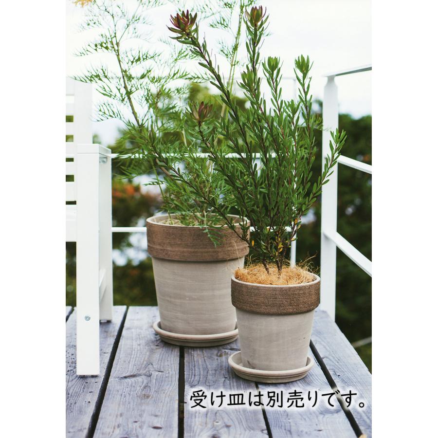 植木鉢 テラコッタ おしゃれ 人気 おすすめ プランター